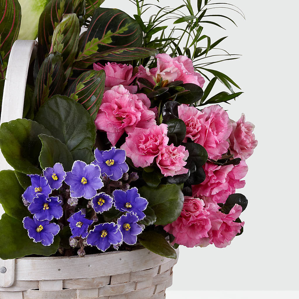 Peaceful Garden Planter –  Oak Ridge Floral Company Llc, Oak Ridge TN
