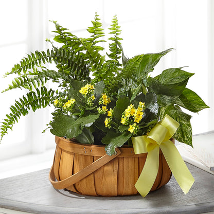 Always Dear Dishgarden –  Oak Ridge Floral Company Llc, Oak Ridge TN