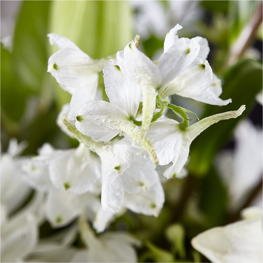 Classic Ivory – A Florist Original –  Oak Ridge Floral Company Llc, Oak Ridge TN