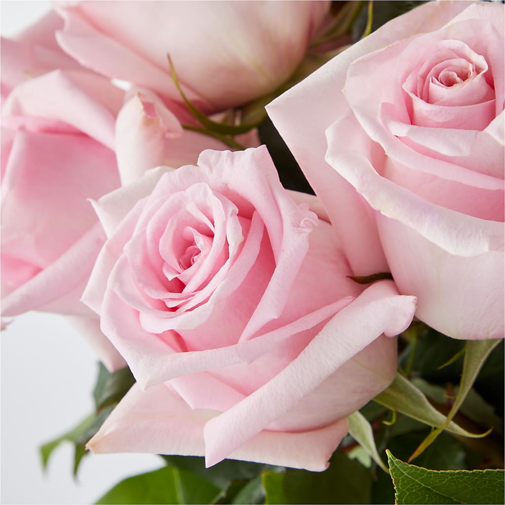 Picture Perfect Pink Rose Bouquet –  Oak Ridge Floral Company Llc, Oak Ridge TN