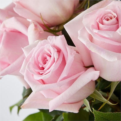 Picture Perfect Pink Rose Bouquet –  Oak Ridge Floral Company Llc, Oak Ridge TN