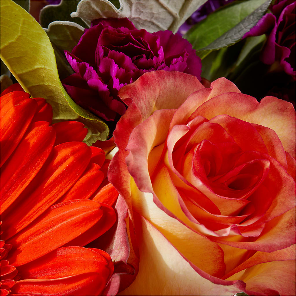 Sangria Bouquet –  Oak Ridge Floral Company Llc, Oak Ridge TN