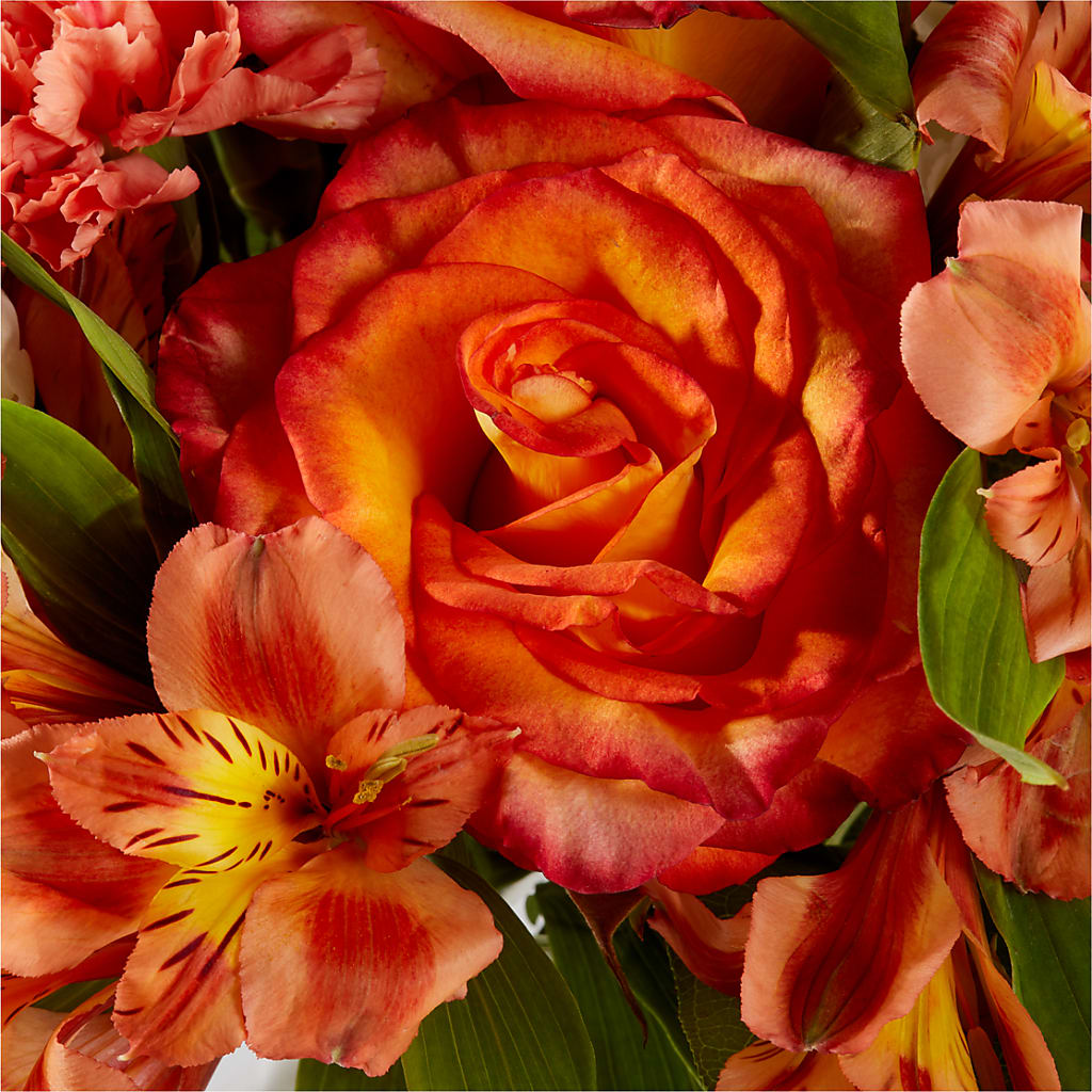 Apricot Glow Bouquet –  Oak Ridge Floral Company Llc, Oak Ridge TN