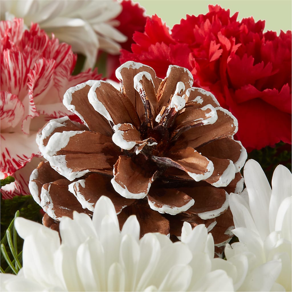 Candy Cane Lane Bouquet –  Oak Ridge Floral Company Llc, Oak Ridge TN