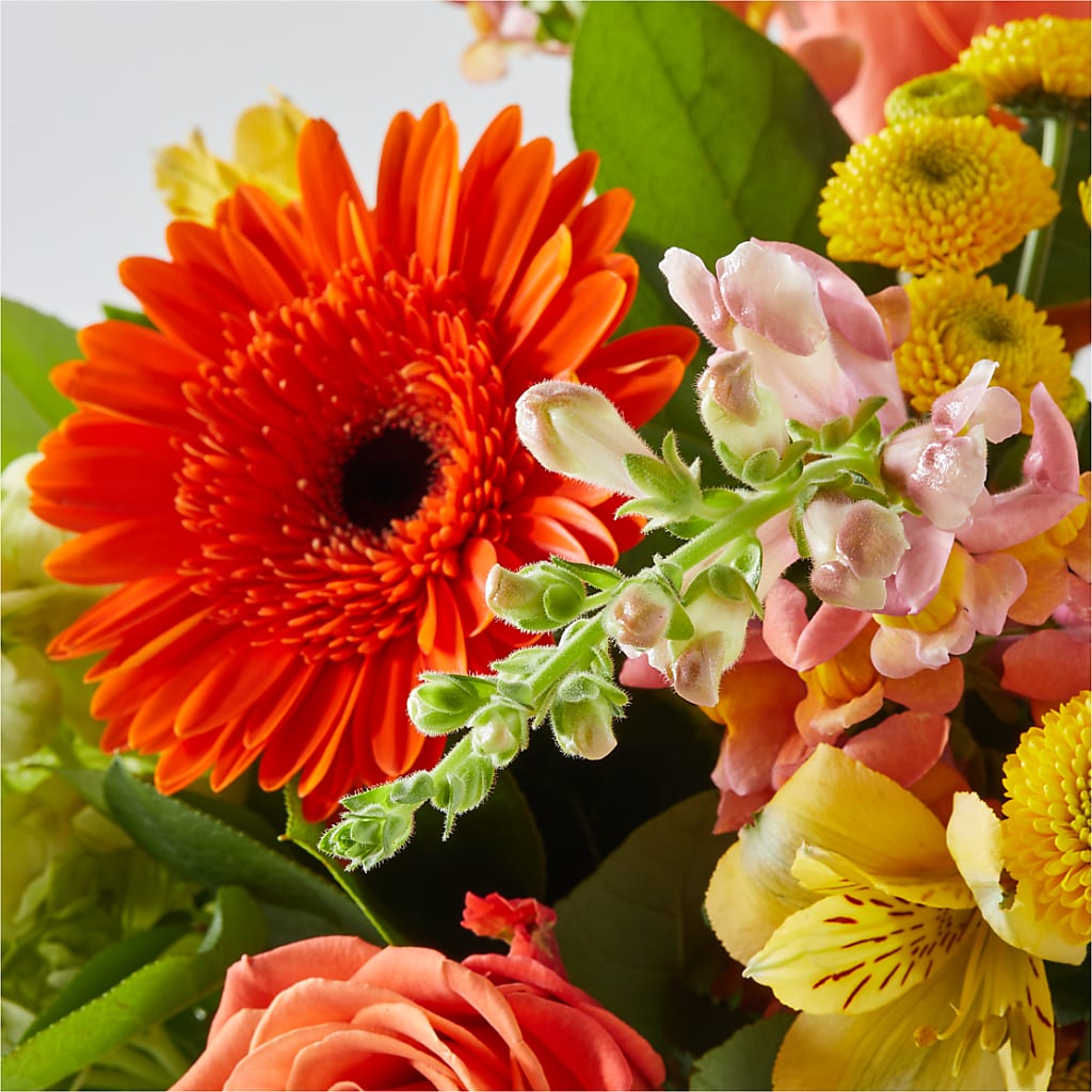 Autumn Sunshine Bouquet –  Oak Ridge Floral Company Llc, Oak Ridge TN