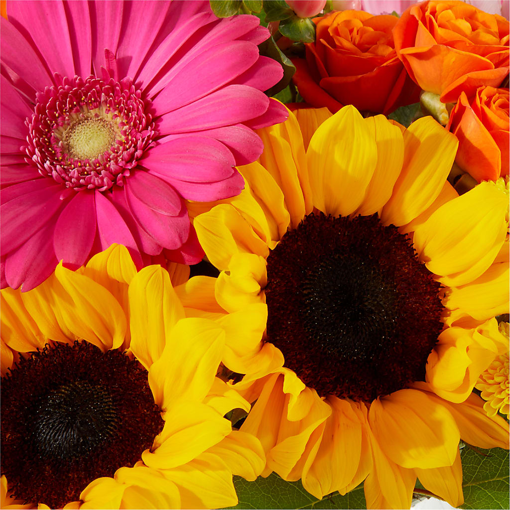 Beach Day Bouquet –  Oak Ridge Floral Company Llc, Oak Ridge TN