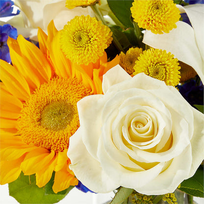 Stargazing Bouquet –  Oak Ridge Floral Company Llc, Oak Ridge TN