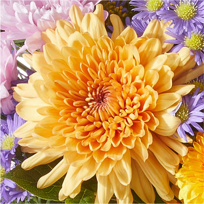 Countryside Bouquet –  Oak Ridge Floral Company Llc, Oak Ridge TN