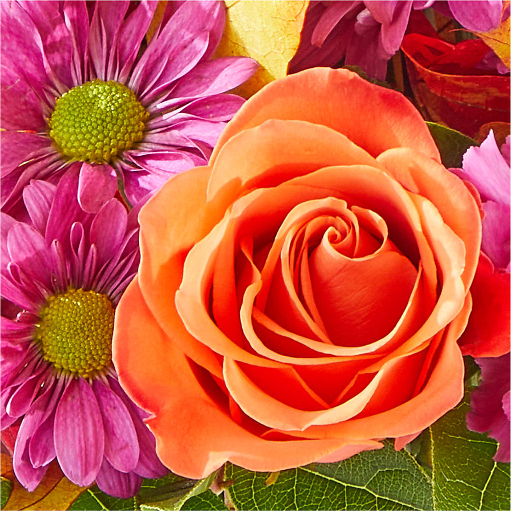 Mum's the Word Bouquet –  Oak Ridge Floral Company Llc, Oak Ridge TN