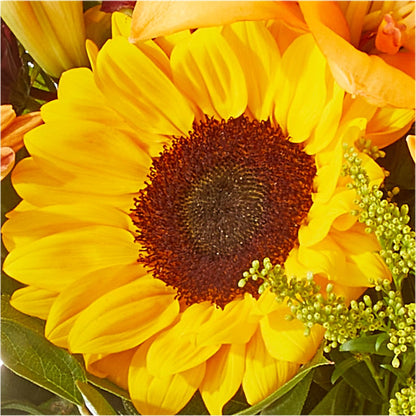 Seasons Change Bouquet –  Oak Ridge Floral Company Llc, Oak Ridge TN