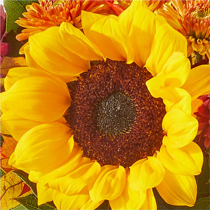 Sunny Side Bouquet –  Oak Ridge Floral Company Llc, Oak Ridge TN
