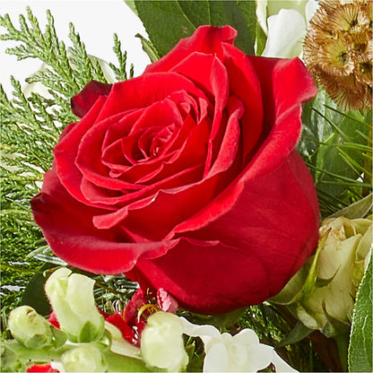 Deck the Halls Bouquet –  Oak Ridge Floral Company Llc, Oak Ridge TN