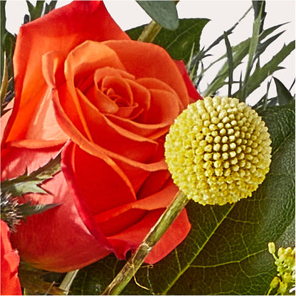 Disco Bouquet –  Oak Ridge Floral Company Llc, Oak Ridge TN