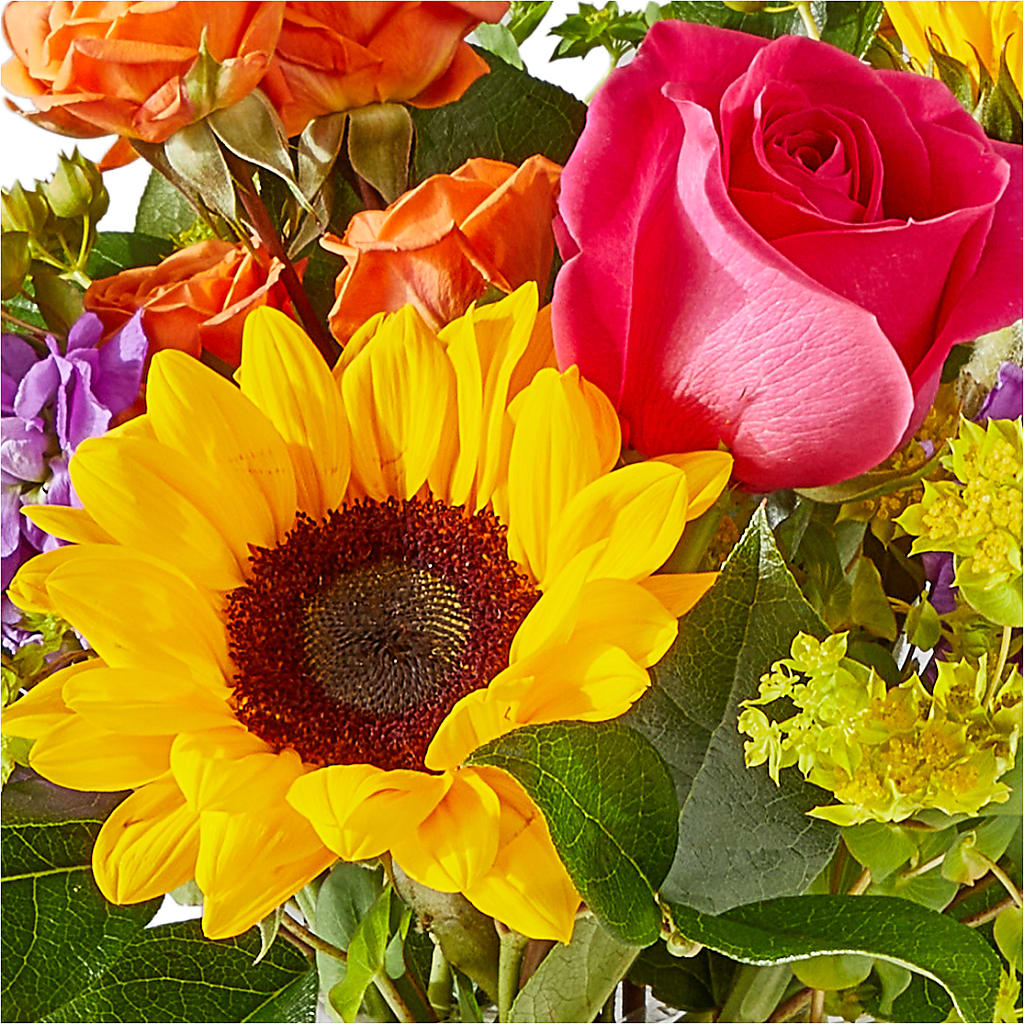 Vibrant Greetings Bouquet –  Oak Ridge Floral Company Llc, Oak Ridge TN
