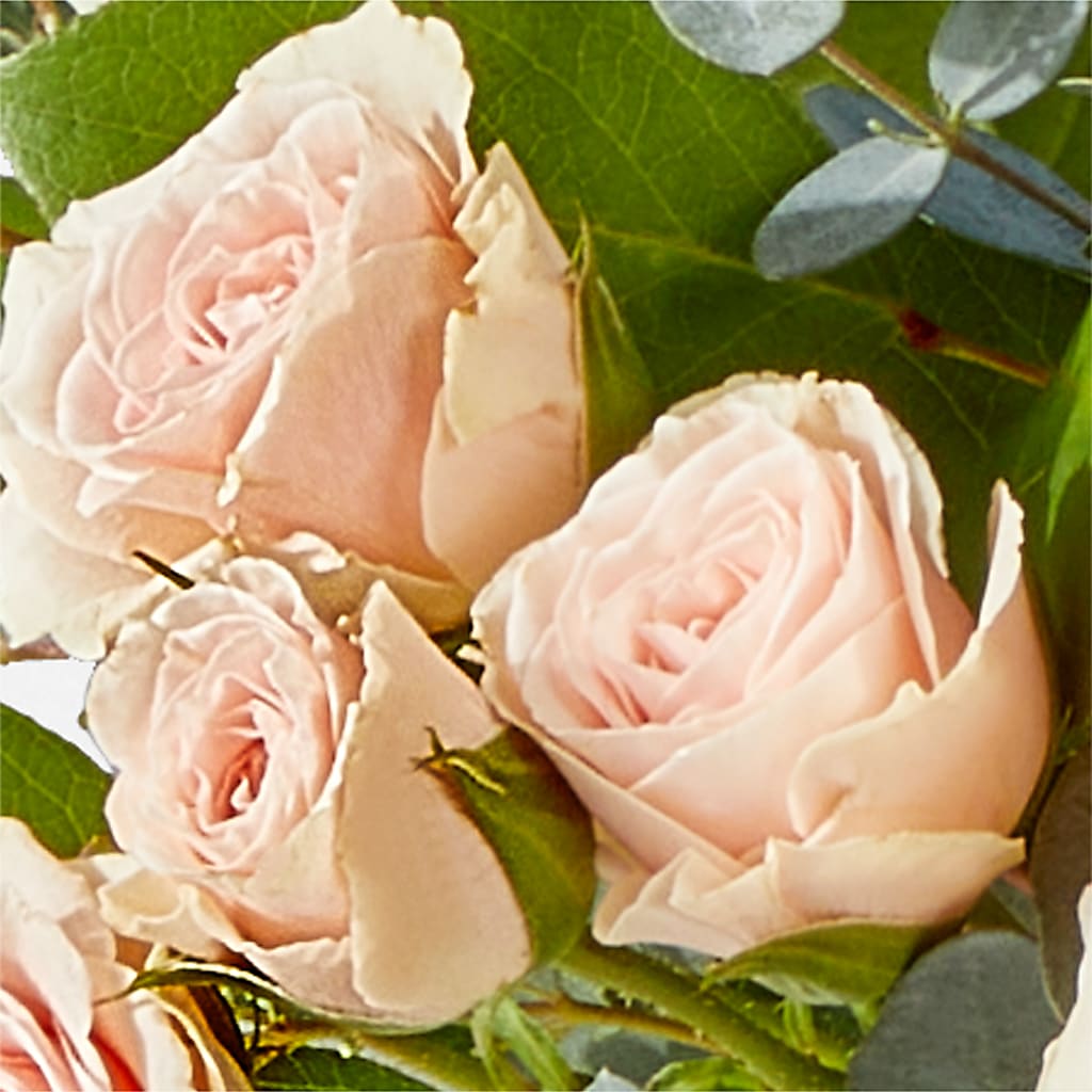Inspired Bouquet –  Oak Ridge Floral Company Llc, Oak Ridge TN