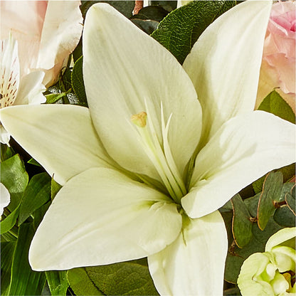 Ballet Slippers Bouquet –  Oak Ridge Floral Company Llc, Oak Ridge TN