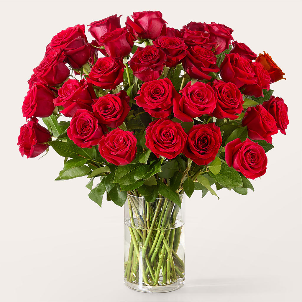 The One Red Rose Bouquet –  Oak Ridge Floral Company Llc, Oak Ridge TN