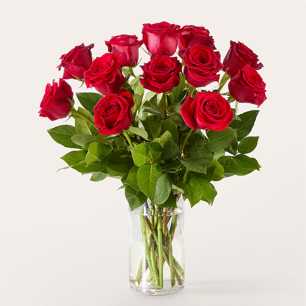 The One Red Rose Bouquet –  Oak Ridge Floral Company Llc, Oak Ridge TN