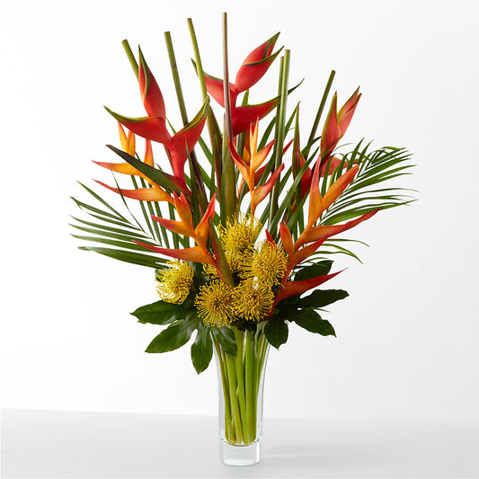 The Drama –  Oak Ridge Floral Company Llc, Oak Ridge TN