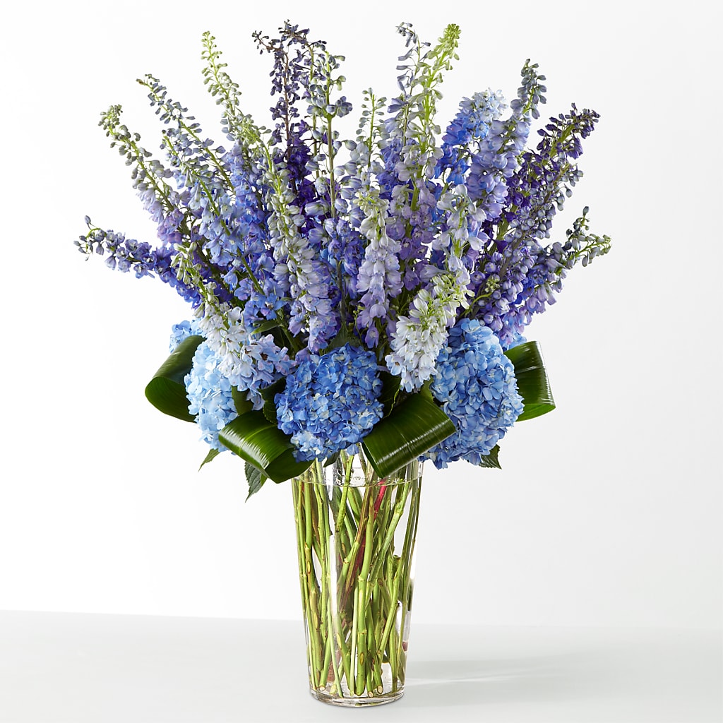 The Editorial –  Oak Ridge Floral Company Llc, Oak Ridge TN