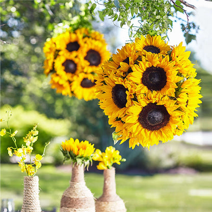 Sublime Garden Hanging Arrangement –  Oak Ridge Floral Company Llc, Oak Ridge TN