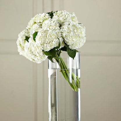 White Hydrangea Hand-Tied Bouquet –  Oak Ridge Floral Company Llc, Oak Ridge TN