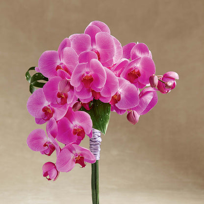 Glorious Bouquet –  Oak Ridge Floral Company Llc, Oak Ridge TN