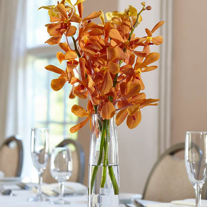 Orange Mokara Bud Vase –  Oak Ridge Floral Company Llc, Oak Ridge TN
