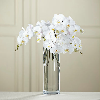 White Phalaenopsis Bouquet –  Oak Ridge Floral Company Llc, Oak Ridge TN